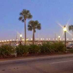 Meet your Posher, Jodi